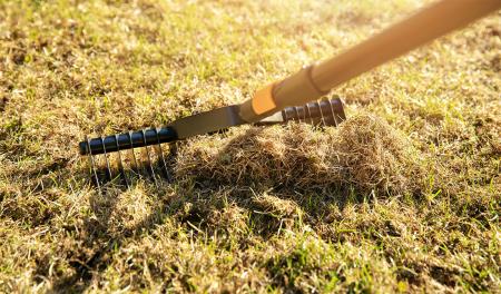 Come e quando arieggiare il prato?