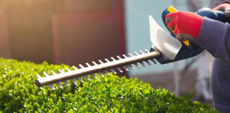 Come potare una siepe e fare in modo che sia perfetta