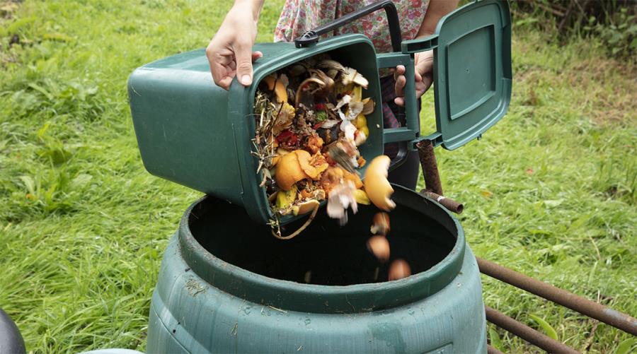 Come fare il compost domestico?