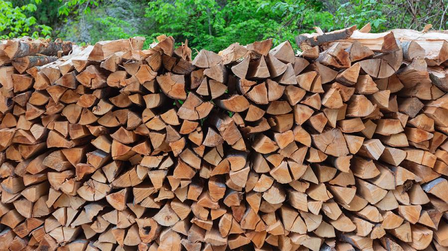 Come tagliare la legna da ardere  Quale scegliere e come conservarla