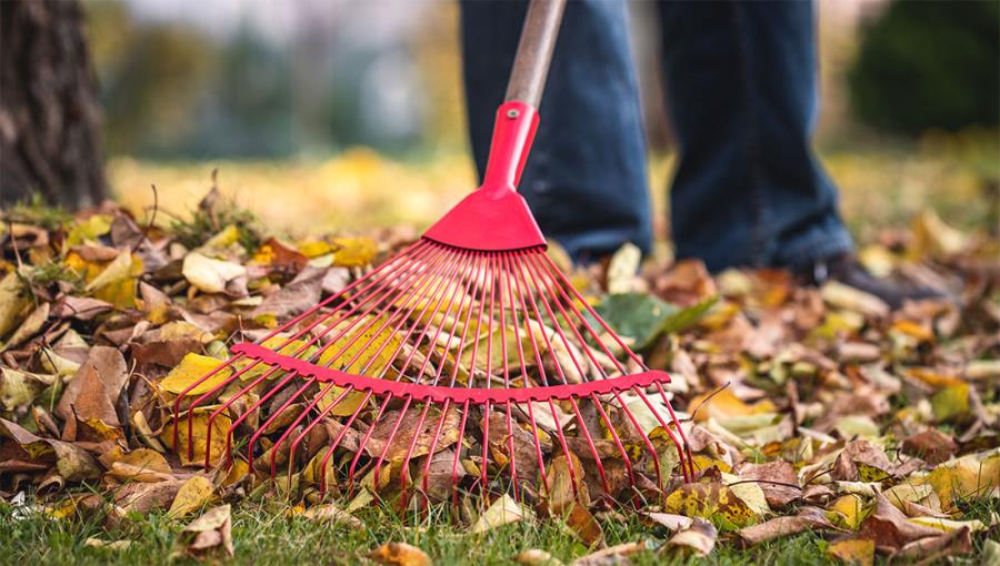 Lavori in giardino a ottobre: tutto quello che devi sapere