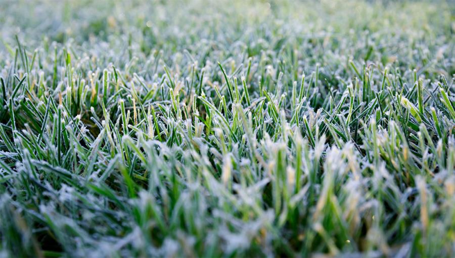 Come preparare il prato alla stagione invernale?