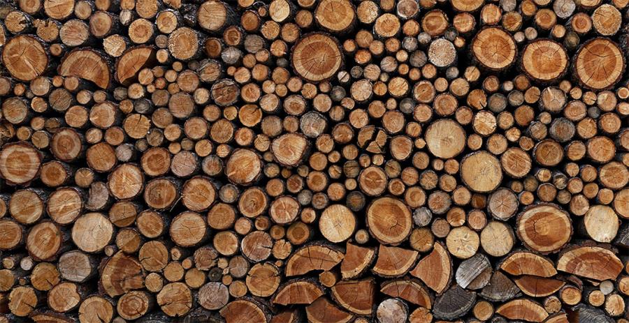 Troppa legna da tagliare? Tutte le dritte per un uso dello spaccalegna sicuro e facile
