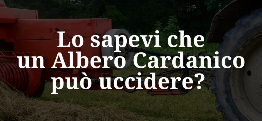 Lo sapevi che un Albero Cardanico può uccidere? Non ci credi? Leggi qui.