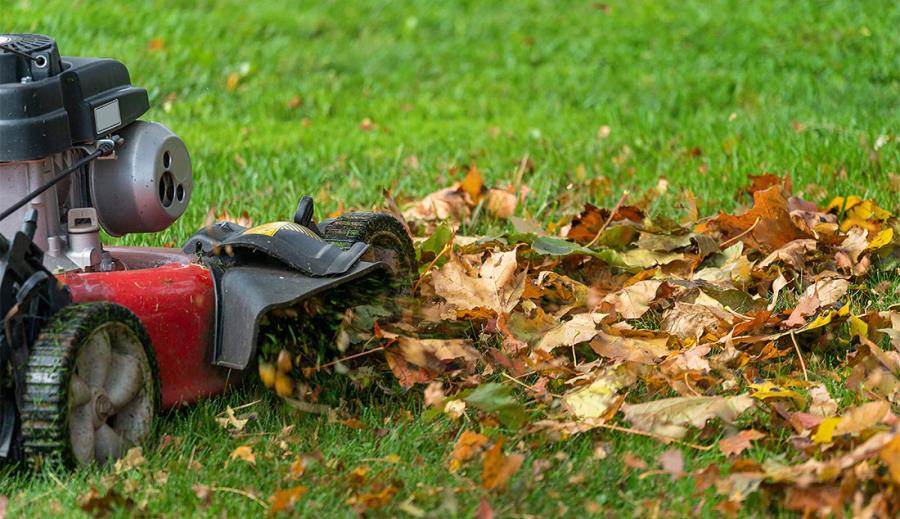 Scopri i diversi modi in cui possiamo aiutarti a rigenerare il prato in autunno!