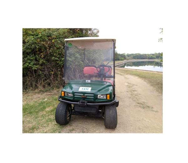 Golf car Ez-Go verde 2 posti omologata