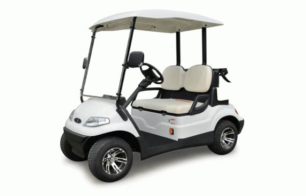 Golf car  2 posti modello Fleet 5 golf 