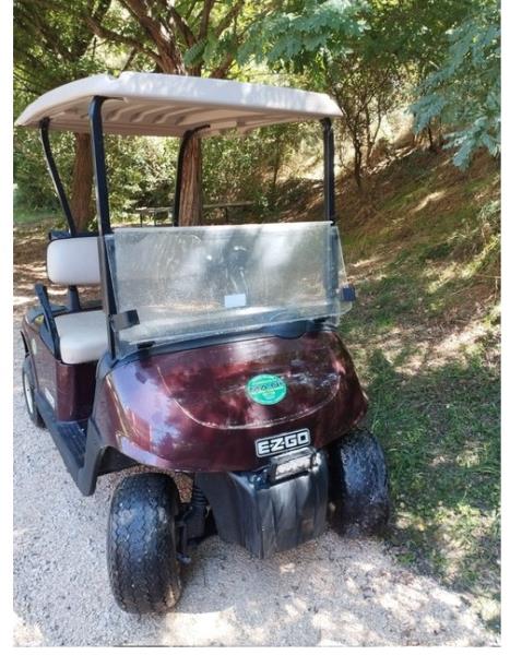 Golf car Ezgo RXV 2 posti golf| batterie nuove