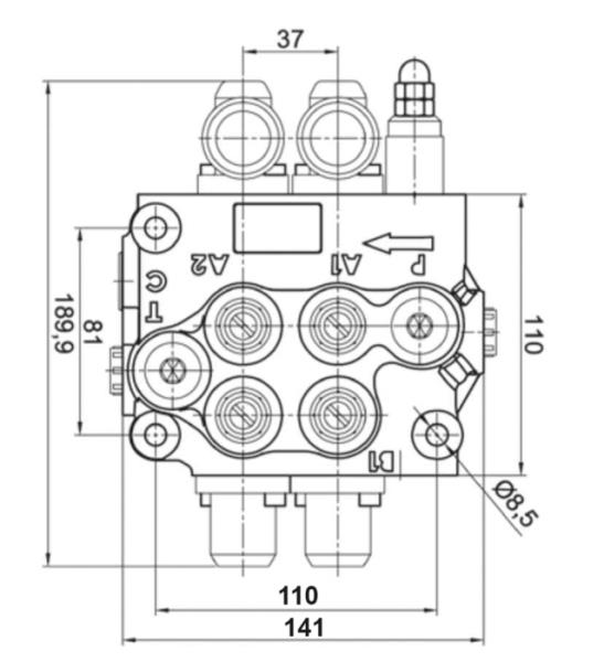 Distributore modello Basic | 2 leve a doppio effetto | 40 litri