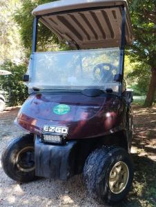 Golf car Ezgo RXV 2 posti golf| batterie nuove