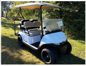 Ez-Go RXV Valor 48V 4 posti| NUOVA su ordinazione