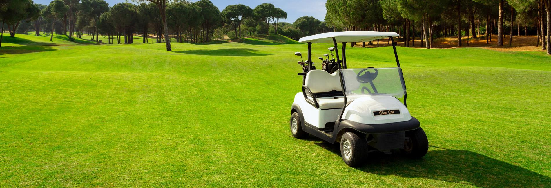 banner-vendita-golf-car-000.jpg