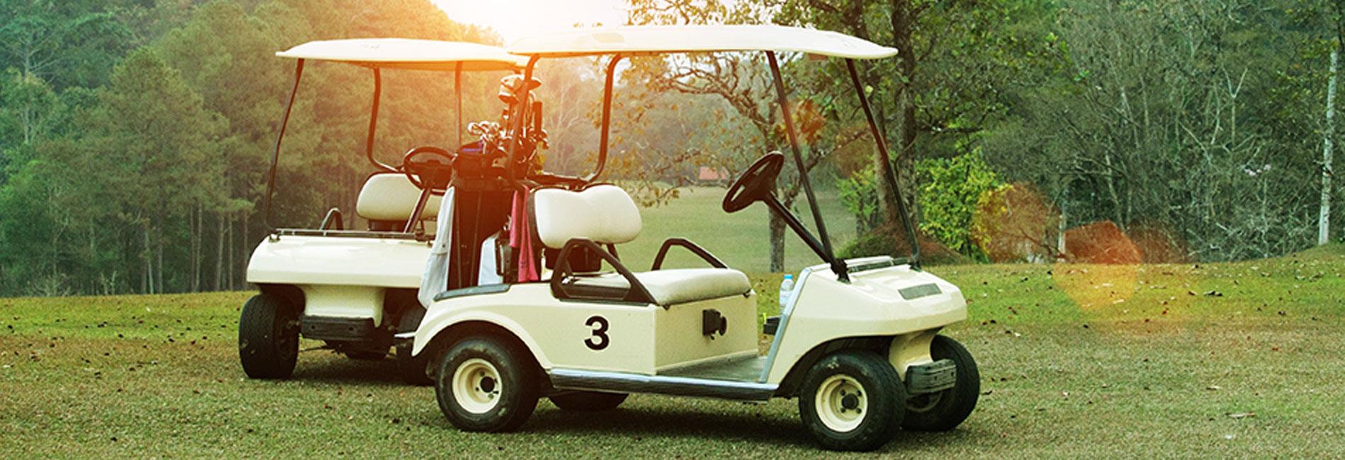 golf-car-usate-e-nuove-febbraio-idea-shop-000.jpg